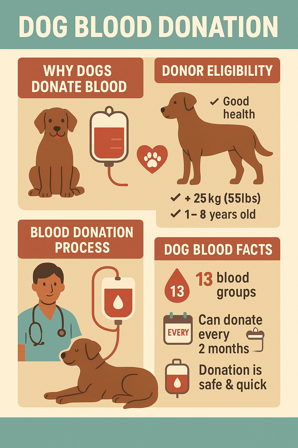 Dog Blood Donation: Best 7 Expert Tips!