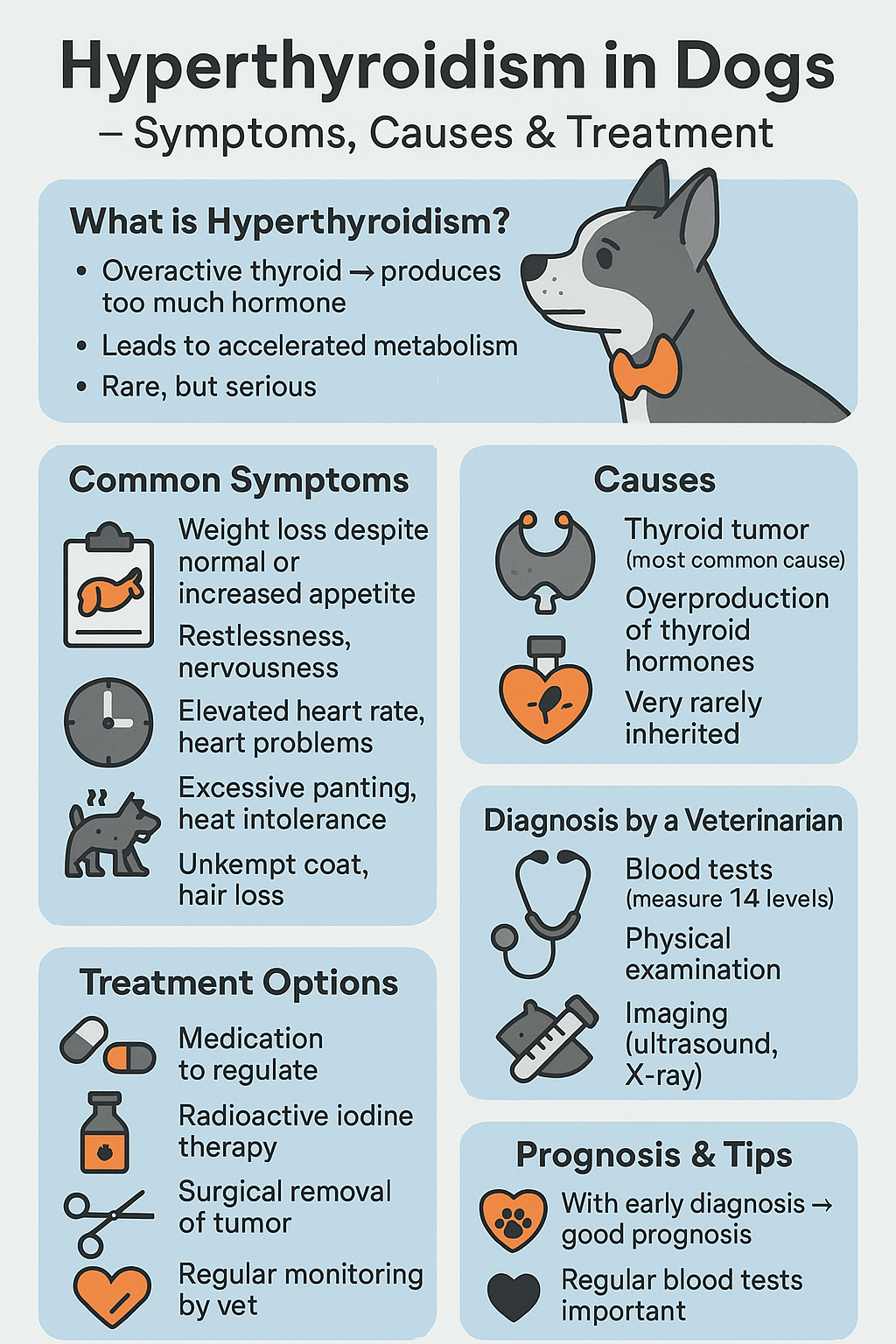 Hyperthyroidism in Dogs: Best 7 Expert Tips!