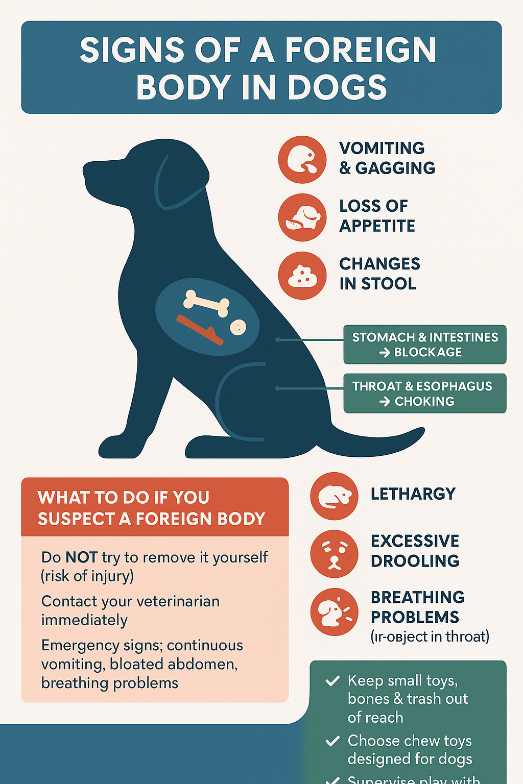 Signs of a Foreign Body in Dogs: Best 7 Expert Tips!