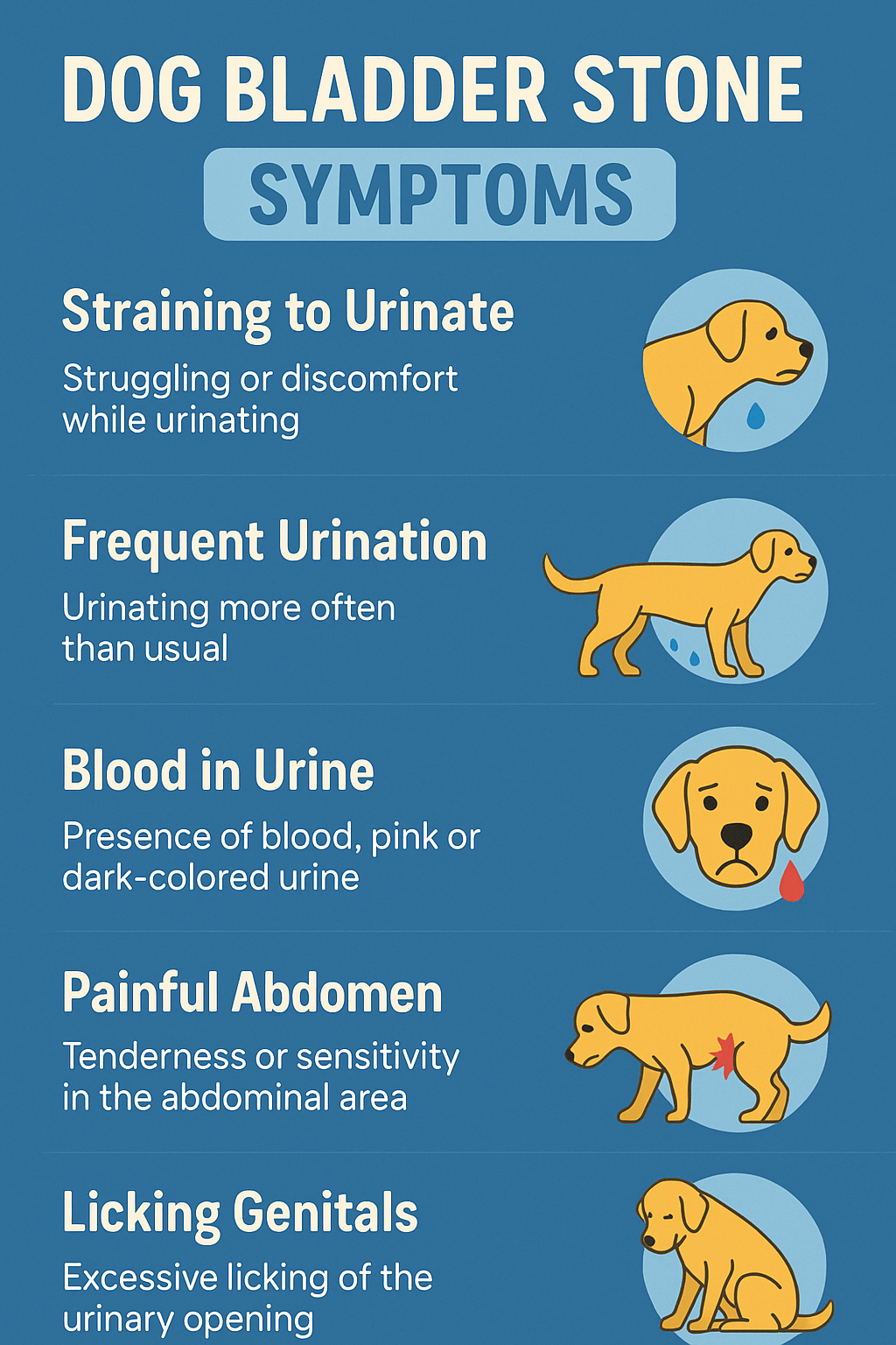 Dog Bladder Stone Symptoms: Best 7 Expert Tips!