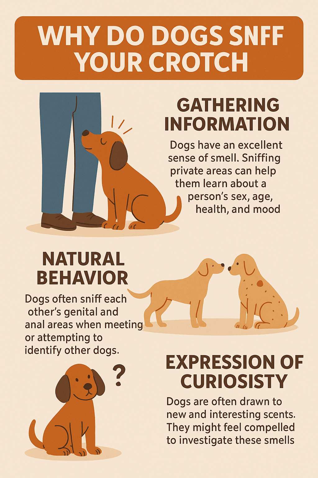 Why Do Dogs Sniff Your Crotch? Best 7 Expert Tips!