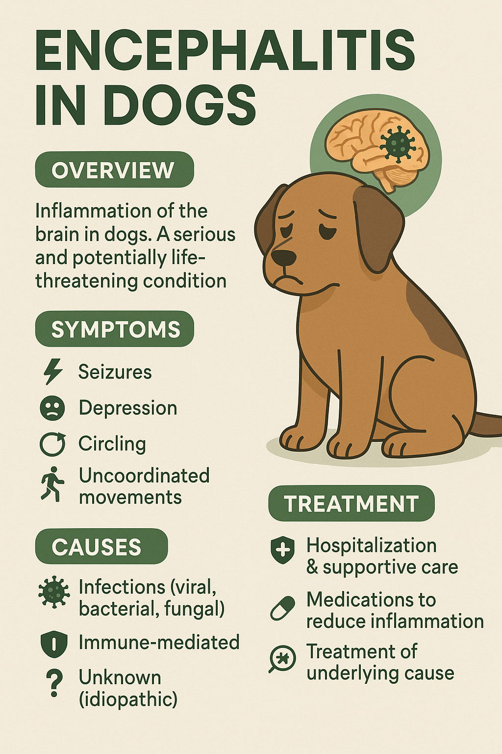 Encephalitis in Dogs: Best 7 Expert Tips!