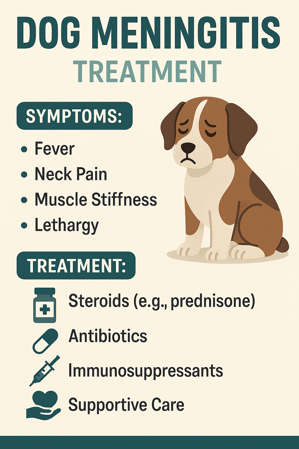 Dog Meningitis Treatment: Best 7 Expert Tips!