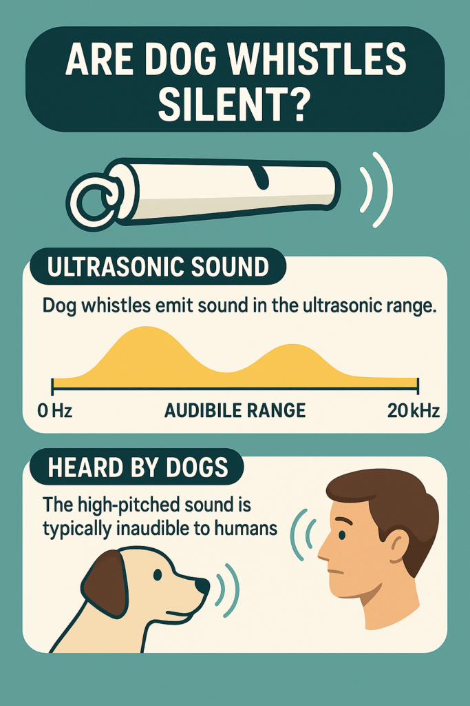 Are Dog Whistles Silent? Best 7 Expert Tips!