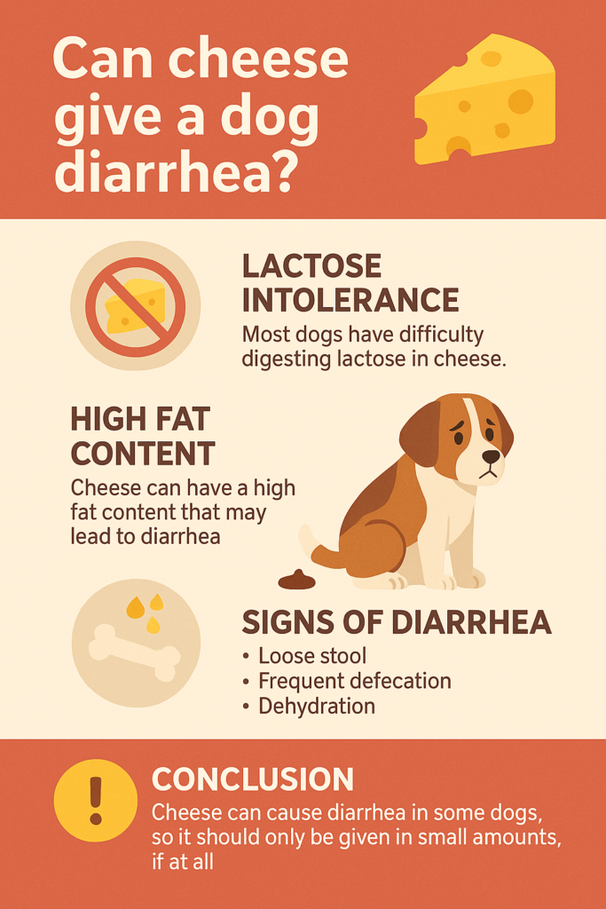 Can Cheese Give a Dog Diarrhea? Best 7 Expert Tips!