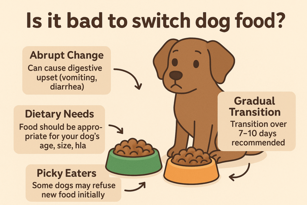 Is It Bad to Switch Dog Food? Best 7 Expert Tips!