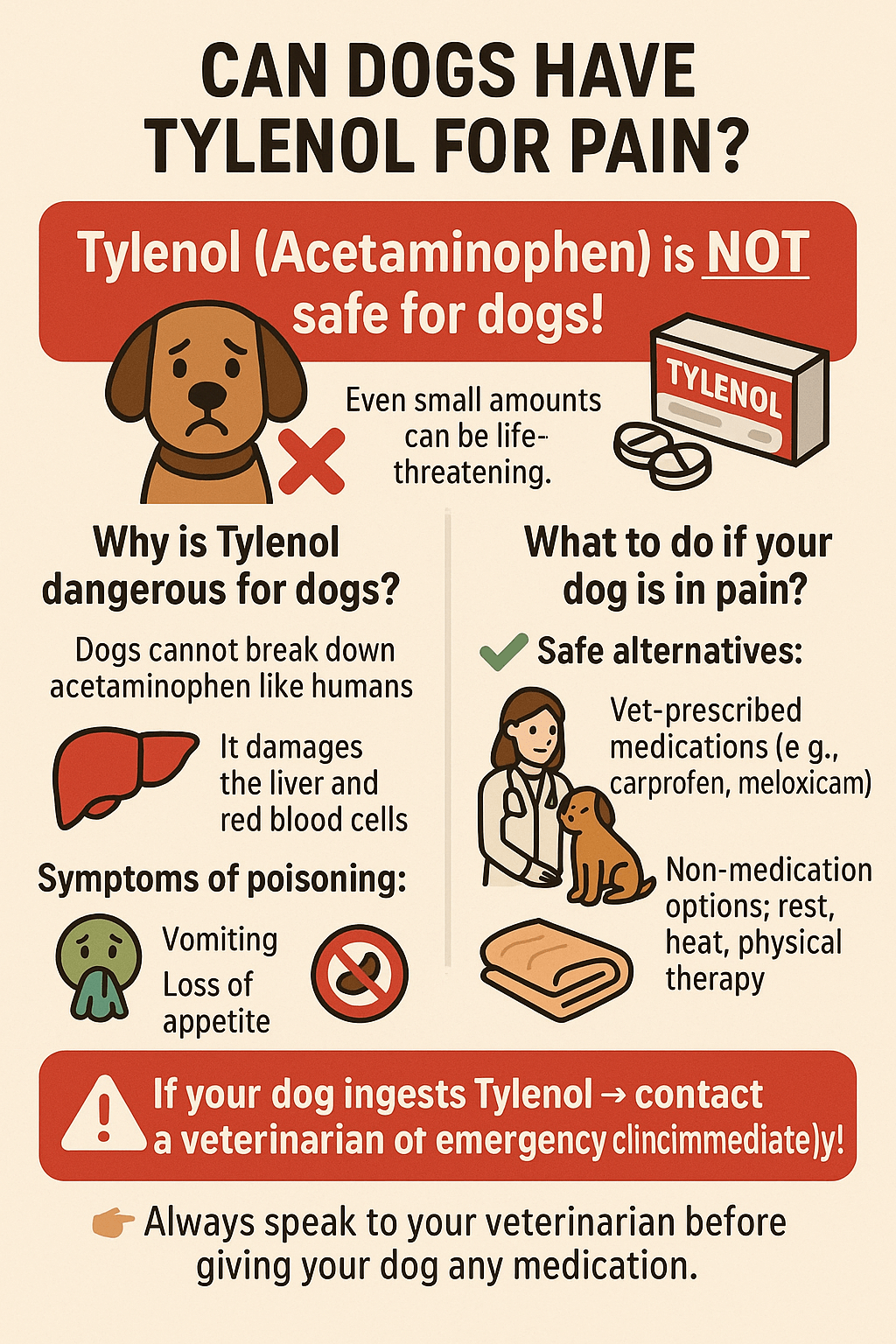Can Dogs Have Tylenol for Pain? Best 7 Expert Tips!