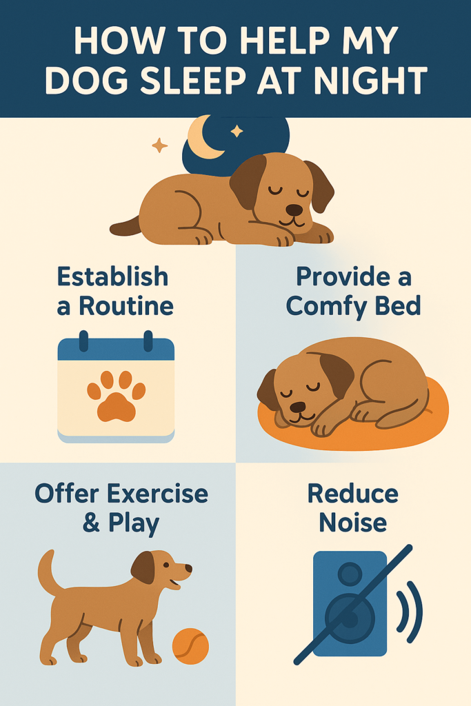 How to Help My Dog Sleep at Night: Best 7 Expert Tips!