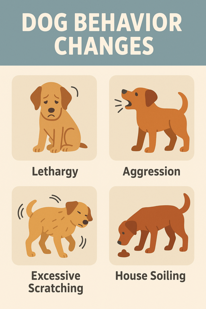 Dog Behavior Changes: Best 7 Expert Tips!