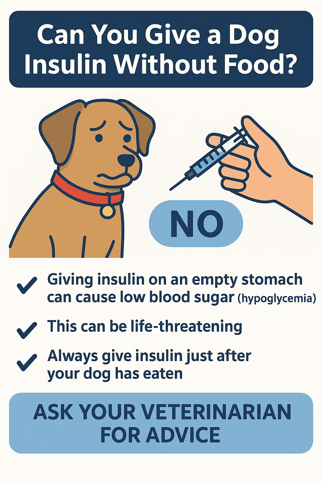 Can You Give a Dog Insulin Without Food? Best 7 Tips!