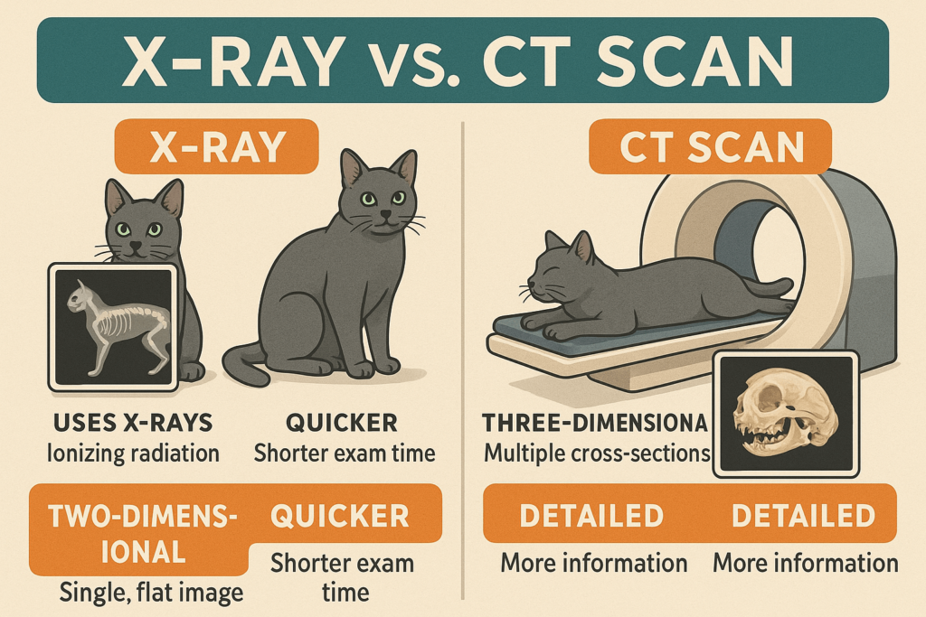 X-Ray vs CT Scan for Cats: Best 7 Expert Tips!