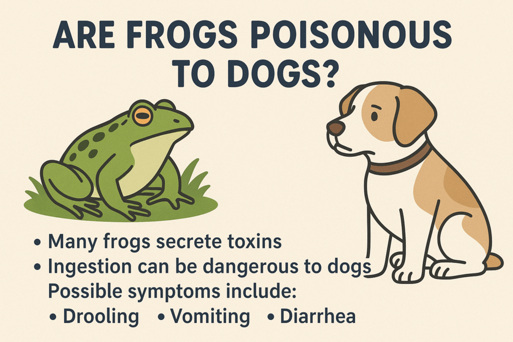 Are Frogs Poisonous to Dogs? Best 7 Expert Tips!