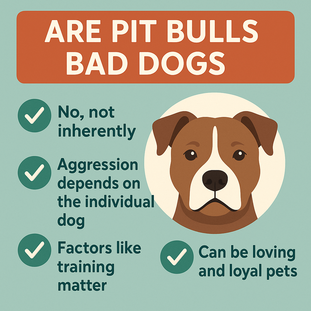 Are Pitbulls Bad Dogs? Best 7 Expert Tips!