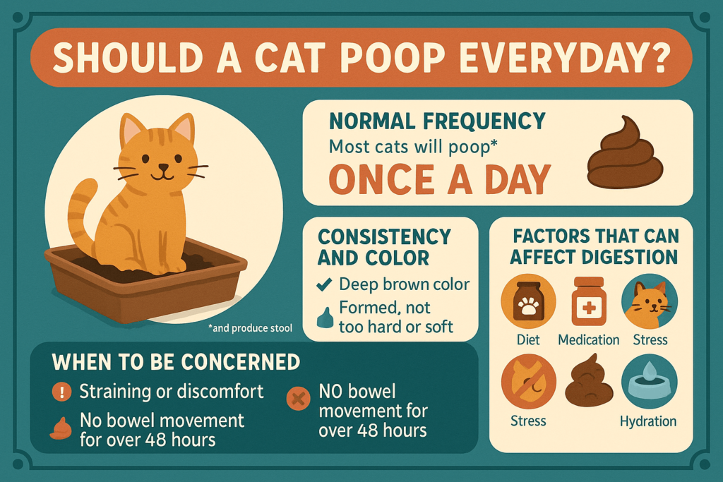 Should a Cat Poop Every Day? Best 7 Expert Tips!